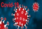 कोरोना अपडेट : बीते 24 घंटे में सामने आए 64,531 नए मामले