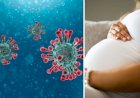 Coronavirus के नए लक्षण ने वैज्ञानिकों की उड़ा दी नींद, गर्भवती महिला के गर्भनाल पर भी अटैक