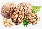 याददाश्त बढ़ाने, शुगर व वज़न कम करने  के लिए करें अखरोट का सेवन, होंगे कई फायदे