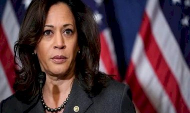 America Election: उपराष्ट्रपति पद की उम्मीदवार बनी भारतीय मूल की कमला हैरिस