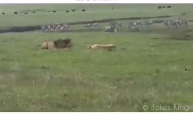 जीवन में इस प्रकार का आत्मविश्वास होना चाहिए