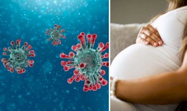 Coronavirus के नए लक्षण ने वैज्ञानिकों की उड़ा दी नींद, गर्भवती महिला के गर्भनाल पर भी अटैक