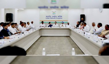 कांग्रेस कार्यसमिति की बैठक में राहुल ने लगाए कारयर्ताओं पर लगाए गंभीर आरोप, कहा- भाजपा से मिले है नेता