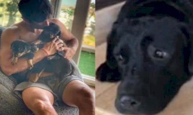 Video Viral : आज भी सुशांत का इंतजार कर रहा है उनकी डॉगी फज, बाइक का लगा रहा है चक्कर