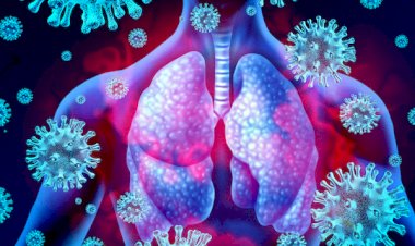 Coronavirus को लेकर हुआ एक और दावा, फेफड़ों में ही नहीं सभी अंगों पर करता है Attack