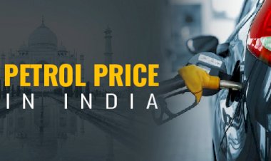 Petrol-Diesel Price : फिर महंगे रेट, 1 लीटर तेल के लिए अब चुकानी होगी इतनी कीमत, जानिए नए Price
