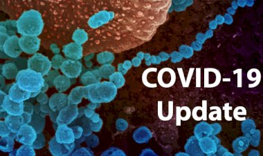 Coronavirus Update : 33 लाख 87 हजार पार पहुंची संक्रमितों की संख्या, दो हफ्ते के अंदर ही हुए 1 करोड़ से ज्यादा टेस्ट