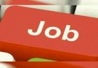 सरकारी नौकरी पाने का है अच्छा मौका, यहां करें Apply, जानिए कितनी मिलेगी सैलरी