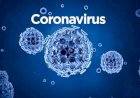 Coronavirus Update :  24 घंटों में देश में आए 12,916 नए केस, अब तक कुल 1.07 करोड़ लोग संक्रमित 