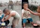 Video Viral : मासूम बच्चे ने अपनी 2 साल की बहन के लिए बनाई खास डिश, सोशल मीडिया में धूम मचा रहा है ये वीडियो