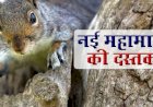Coronavirus के बाद चीन से आने वाली है एक और नई बीमारी, हो सकती है कई मौतें, जानिए क्या है इसके लक्षण