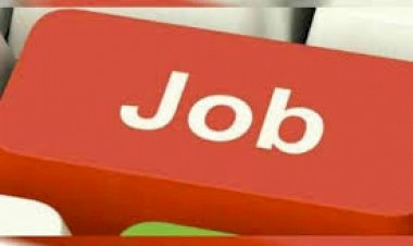 नहीं भटकेगा युवा, सरकार देगी घर बैठे नौकरी Jobs ऑफर, जानिए कैसे करें Apply