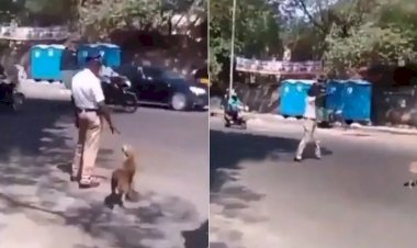 एक डॉगी को सड़क पार करवाने के लिए ट्रैफिक पुलिस ने रोक दी तेज गाड़ियों की रफ्तार