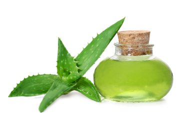 एलोवेरा को सोने से पहले चेहरे पर लगाएं, जानिए लगाने का सही तरीका