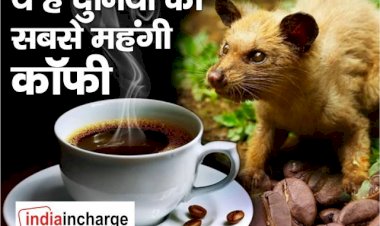 बिल्ली की पॉटी से बनती है ये दुनिया की सबसे महंगी काफी, जल्द मिलेगी भारत में, जानिए इसकी खासियत