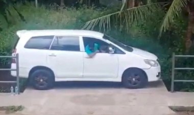 Video Viral : कभी किया है आपने गाड़ी ऐसे पार्क, फोटो देख लोगों के खड़े हो गए रोंगटे