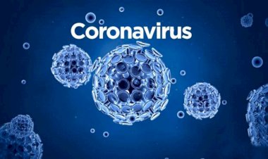 Coronavirus Update : नहीं थम रही महामारी की रफ्तार, 24 घंटे में रिकॉर्ड 95 हजार 529 मरीज बढ़े, देश में 44.62 लाख मामले