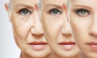 Anti Aging : इन विटामिन्स का करें सेवन,बढ़ती उम्र में भी लगेगी जवां