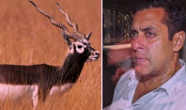 सलमान खान हाजिर हो..कांकाणी हिरण शिकार मामला