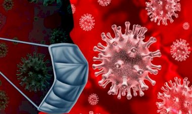 Coronavirus Update : 55 लाख पहुंचा कोरोना संक्रमितों का आंकड़ा, जानिए आपके राज्य का हाल