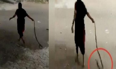 Video Viral : दादी ने कोबरा पकड़कर हवा में उड़ाया, नजारा देख लोग रह गए दंग