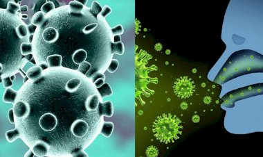 Coronavirus Update : तेजी से बढ़ रहा है महामारी का आंकड़ा, देश में अब तक 60.73 लाख केस