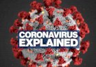 Coronavirus Update : महामारी से संक्रमित लोगों का आंकड़ा बढ़कर हुआ 70 लाख, जानिए आपके राज्य का हाल