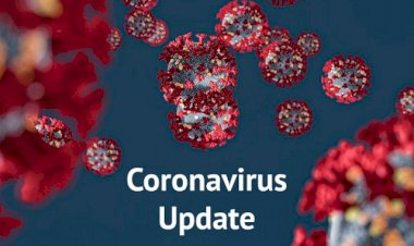 Coronavirus Update :  नहीं थम रहा महामारी का कहर, देश में 63.07 लाख पहुंचा आंकड़ा, जानिए आपके राज्य का हाल