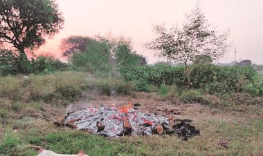हाथरस गैंगरेप मामले में हुआ सबसे बड़ा खुलासा, जांच में सामने आया नहीं हुआ रेप, ADG का दावा- इस तरह की गई थी हत्था