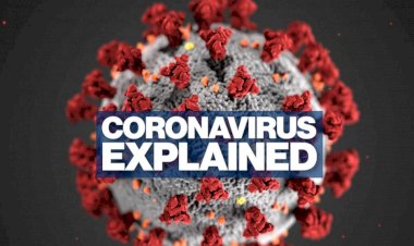 Coronavirus Update : महामारी से संक्रमित लोगों का आंकड़ा बढ़कर हुआ 70 लाख, जानिए आपके राज्य का हाल