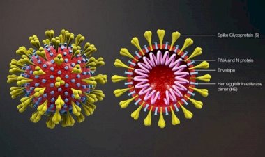 Coronavirus Update : कम हो रहे हैं केस, अब तक 71.9 लाख पहुंचा आंकड़ा, जानिए आपके राज्यों का हाल