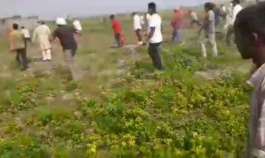 BJP नेता ने सीओ-एसडीएम के सामने चलाई गोली, युवक की हुई मौत…