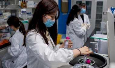 Coronavirus Vaccine को लेकर आई सबसे अच्छी खबर, रूस ने किया तीसरी वैक्सीन बना लेने का दावा
