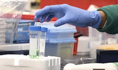 Coronavirus Update : देश में  77 लाख 59 हजार 640 पहुंचा आंकड़ा, जानिए आपके राज्य का हाल