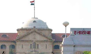 यूपी में निर्दोष लोगों के खिलाफ हो रहा है गोवध कानून का उपयोग : हाईकोर्ट