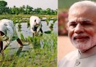 PM Kisan Scheme: किसानों के लिए खुशखबरी कल से किसानों के खाते में आएंगे 2000 रुपये, ऐसे चेक करें लिस्ट में नाम