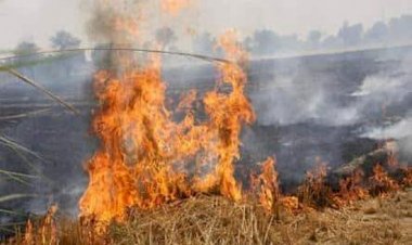 हरदोई में पराली जलाने के मामले में 66 किसानों पर FIR, लेखपाल पर गिरी गाज