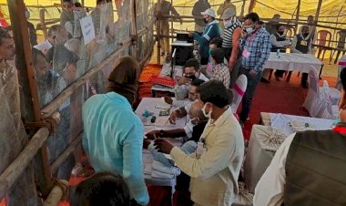UP उपचुनाव : फर्स्ट फेज की काउंटिंग में बीजेपी पांच और सपा दो सीटों पर आगे
