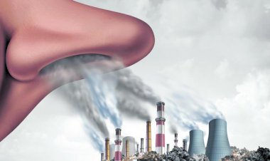 Delhi Pollution : कोरोना के बढ़ते केस के बीच प्रदूषण बना कहर, गैस का चैम्बर में तब्दील हुआ शहर