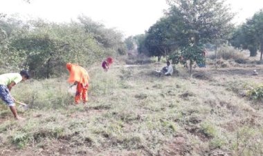 यूपी: आठ महीने में मनरेगा का 40% बजट खर्च, काम सिर्फ 5%