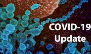 Coronavirus Update : दिल्ली में 24 घंटे में 121 मरीजों की मौत, देश में 91 लाख के पार पहुंचा आंकड़ा, जानिए आपके राज्य का हाल