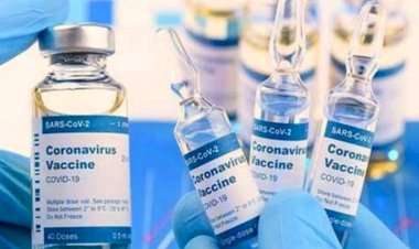 अमेरिका से कोरोना वैक्सीन पर Good News, अमेरिका में अगले महीने इस तारीख से टीका लगना हो सकता है शुरू
