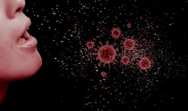 Coronavirus Update : दिल्ली में महामारी का कहर जारी, 91.77 लाख के पार  पहुंचा आकंड़ा, जानिए आपके राज्य का हाल - Viral News | Breaking News |  Latest News | Viral Video