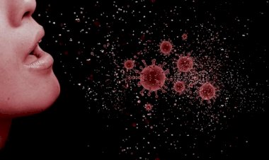 Coronavirus Update : दिल्ली में महामारी का कहर जारी, 91.77 लाख के पार पहुंचा आकंड़ा, जानिए आपके राज्य का हाल - Viral News | Breaking News | Latest News | Viral Video