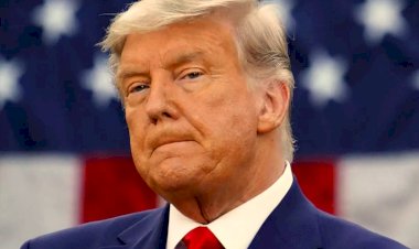 डोनाल्ड ट्रंप ने मान ली हार, सत्ता हस्तांतरण की प्रक्रिया शुरू करने को दी मंजूरी