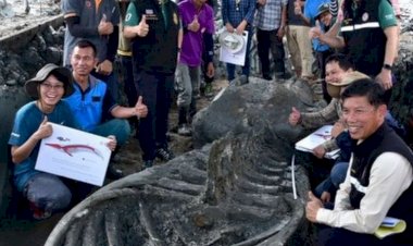 थाईलैंड में मिला 5,000 साल पुराने व्हेल का कंकाल, खुलेंगे कई राज, शोधकर्ता देख रह गए हैरान