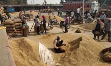 यूपी में धान खरीदी में लापरवाही करने वाले 24 केंद्र प्रभारी एवं सचिव निलंबित