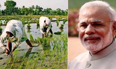 PM Kisan Scheme: किसानों के लिए खुशखबरी कल से किसानों के खाते में आएंगे 2000 रुपये, ऐसे चेक करें लिस्ट में नाम