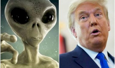 सनसनीखेज खुलासा : दुनिया में मौजूद हैं Aliens, US के साथ मिलकर कर रहे रिसर्च