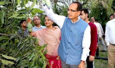 CM शिवराज ने किया बड़ा ऐलान, नए कानून से किसानों को 24 घंटे में मिला न्याय, धान की मिली अधिक कीमत